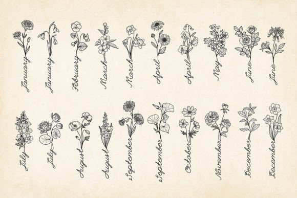 Download Hand-drawn Birth Flowers with Month Name - Premium Resources