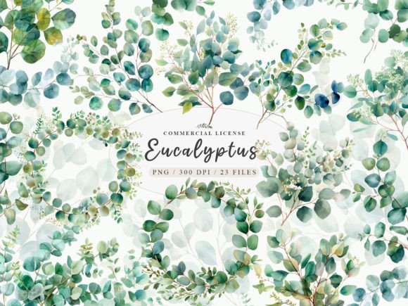 Download Eucalyptus Bundle, Eucalyptus Clipart - Premium Bundle